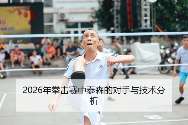 2026年拳击赛中泰森的对手与技术分析
