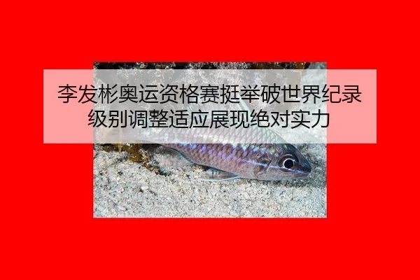 李发彬奥运资格赛挺举破世界纪录 级别调整适应展现绝对实力