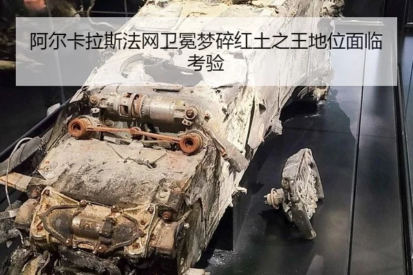 a-er-ka-la-si-fa-wang-wei-mian-meng-sui-hong-tu-zhi-wang-di-wei-mian-lin-kao-yan-3-230.jpg