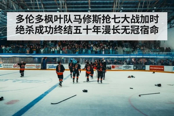 hockey arena crowd