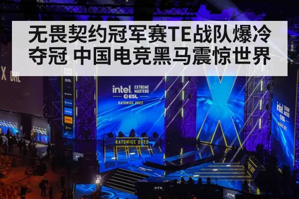 无畏契约冠军赛TE战队爆冷夺冠 中国电竞黑马震惊世界
