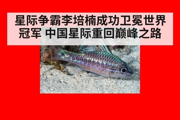 星际争霸李培楠成功卫冕世界冠军 中国星际重回巅峰之路